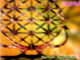 Afi�: Resim Sergisi "BULU�MA NOKTASI �ORUM" 1999